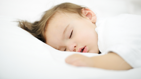 guia de siestas