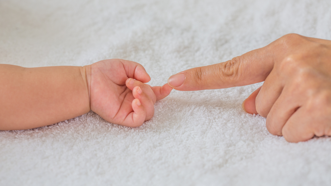 Bebés Tauro: horóscopo para bebés nacidos entre el 20 de abril y 20 de mayo del 2024